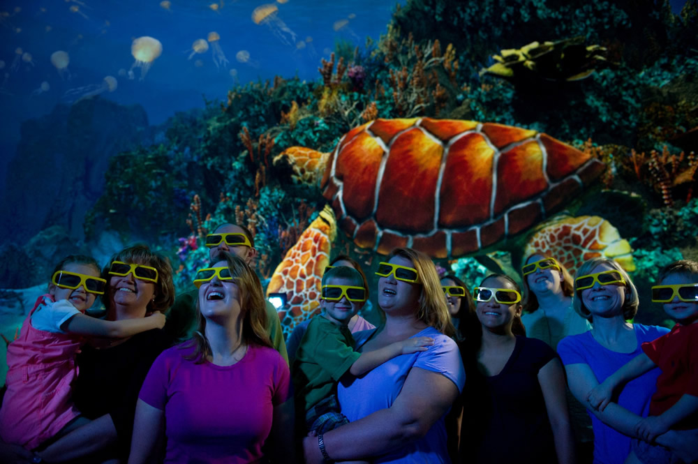 Turtle Trek at SeaWorld